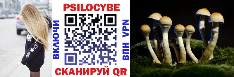 Псилоцибиновые грибы Cubensis  Купить закладки  Заводоуковск 