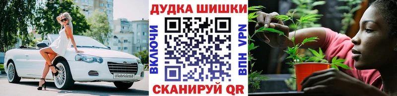 Бошки марихуана AK-47  Купить закладки  Заводоуковск 